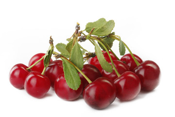 red cherry with leaves isolated