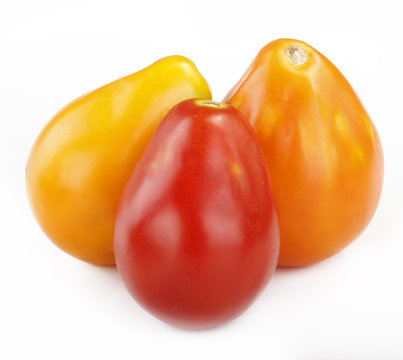 red, yellow and orange tomatoes isolated