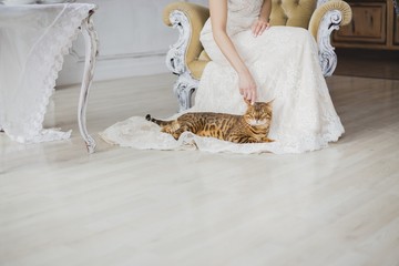 The bengal cat sits near bride