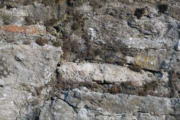 Texture of the stone