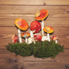 Amanita mushrooms on wooden background