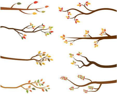 Autumn set of tree branch silhouettes