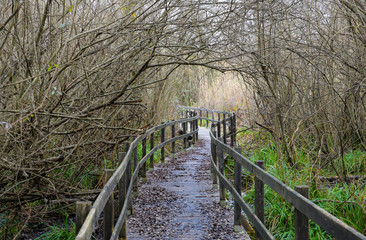 Natural reserve Tevere Farfa - Park with Tiber river in Nazzano town, province of Rome, central...