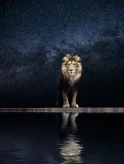 Store enrouleur tamisant sans perçage Lion Portrait d& 39 un beau lion, roi parmi les étoiles