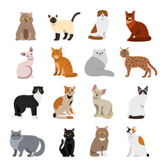 Cat breeds cute pet animal set vector illustration. Cat breed animal and cartoon different cats. Mammal character human friend cat breed animals icons. Character cat portrait friend feline.