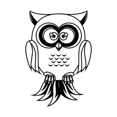 owl bird  cartoon animal nature cute wisdom vector illustration