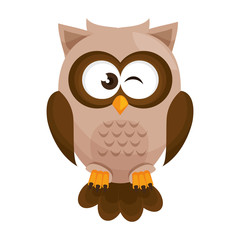 owl bird  cartoon animal nature cute wisdom vector illustration