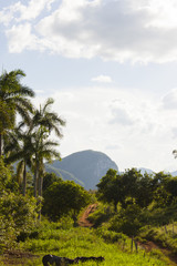 Valley of Vinales in Cuba - Countryside