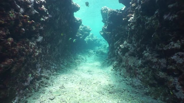 Underwater scene, moving into a natural trench on the seabed, Huahine island, south Pacific ocean, French Polynesia
