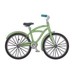 Fototapeta premium green classic bicycle transport vehicle. healthy ride activity. vector illustration