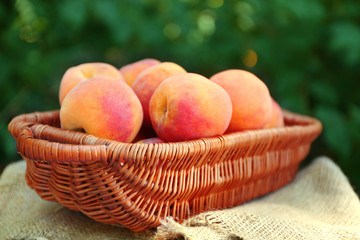 Fresh peaches in wicker basket on sackcloth