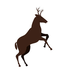 brown deer  with horns and running. wildlife animal. vector illustration