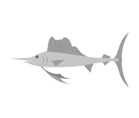 Swordfish ocean water animal  wildlife cartoon. vector illustration