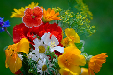 Bouquet with blossoming flowers