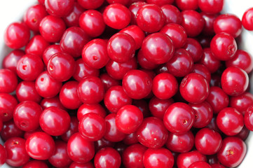Cherry full background