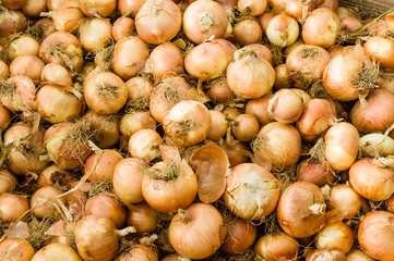 Yellow dry onions at the market