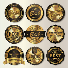 Gorgeous shining labels set