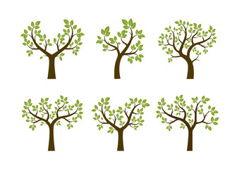 Set of Summer Trees. Vector Illustration.