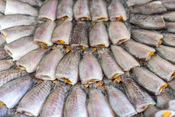 snake skin gourami fish in market