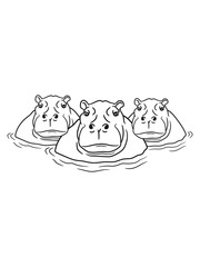 3 friends team group family hippopotamus thick water swim thick large lake tümpel comic cartoon