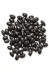Black turtle bean isolated on white