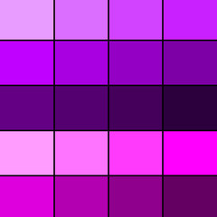 Purple Color Pallet