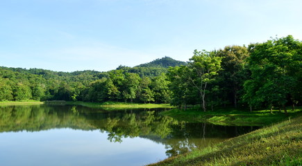 Fototapeta premium Scenic view of lake and forest in morning day,chet khot-pong kon sao nature study center,saraburi city,thailand.