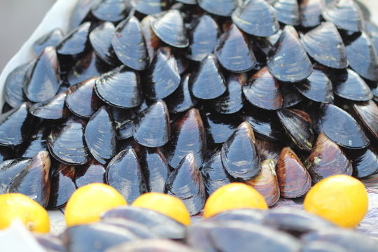midye dolma