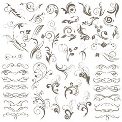 Set of  decorative calligraphic elements for design