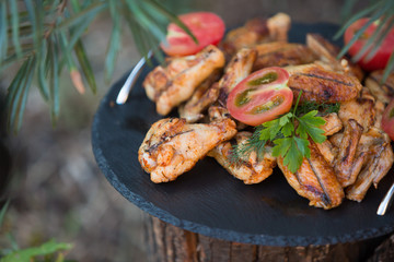 crispy barbecue chicken wings with tomatoes on slate serving tray on nature background. BBQ Appetizer of chicken wings in nature