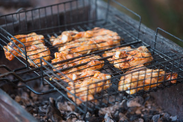 crispy barbecue chicken wings with tomatoes on slate serving tray on nature background. BBQ Appetizer of chicken wings in nature