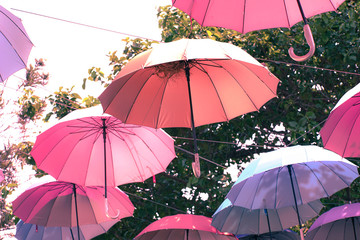 Umbrella hanging in the air in the garden.