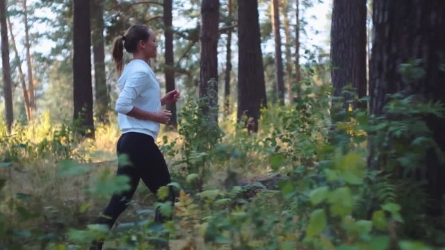 Young woman running. Female runner jogging on misty road with the early morning at sunrise with sun breaking through the trees as she trains during a fitness workout.