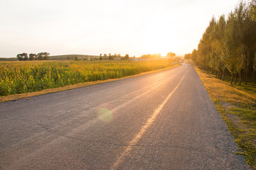 Rural road in the sunset