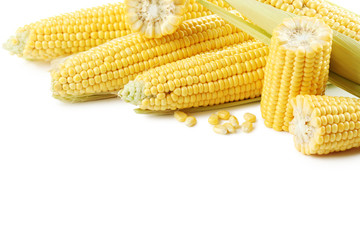 Sweet corns isolated on a white