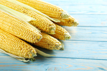 Sweet corn on a blue wooden table