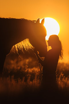 Fototapeta Girl and horse silhouette at sunset 
