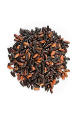 Japonica black rice isolated on white background