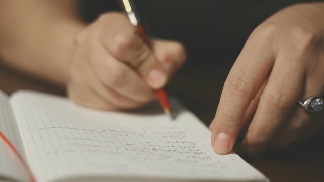 Unknown woman makes an entry in his notebook