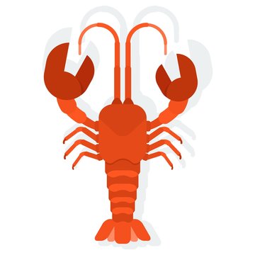 vector red lobster