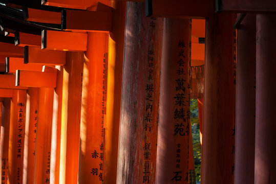 Close-up of Torii gates at Fushimi Inari Shrine in Kyoto, Japan