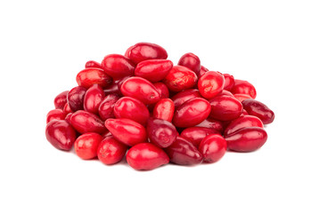 Pile cornelian cherry