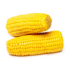 An ear of corn isolated on a white background