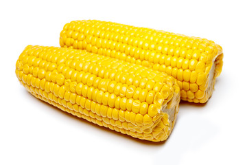 An ear of corn isolated on a white background