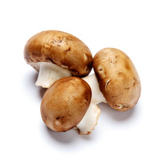 champignon mushroom isolated on white