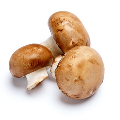 champignon mushroom isolated on white