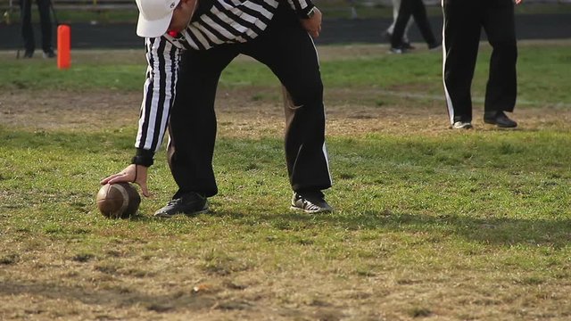 Professional referee taking the ball and walking away from pitch, end of game