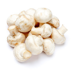 champignon mushroom isolated on white