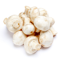 Fototapeta na wymiar champignon mushroom isolated on white