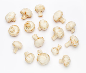 champignon mushroom isolated on white